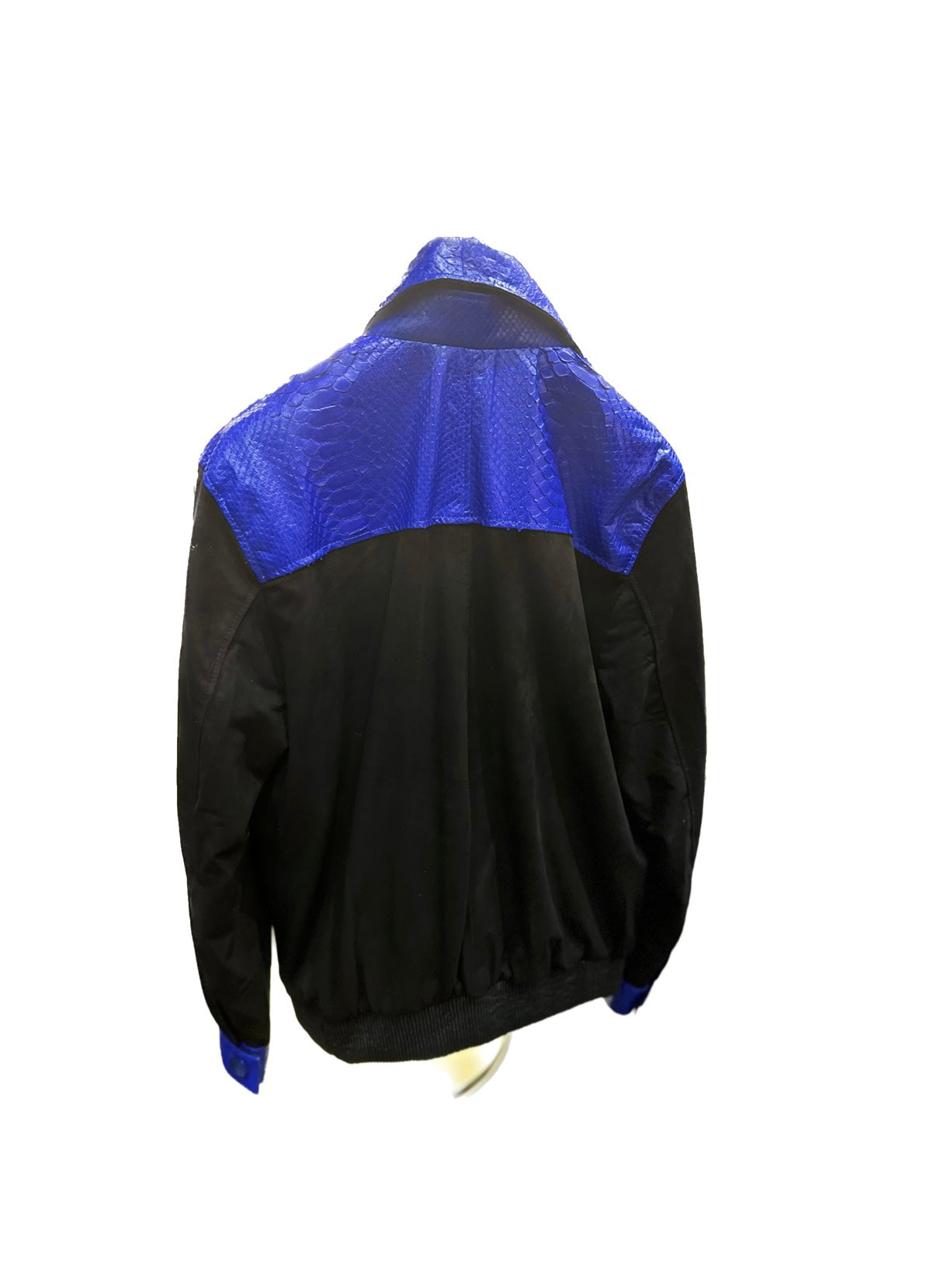 Blue Snake with Lambskin Suede Jacket